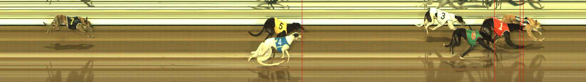 Photo finish for The Meadows Race 7