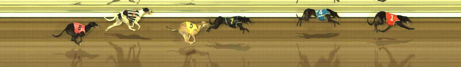 Photo finish for The Meadows Race 9