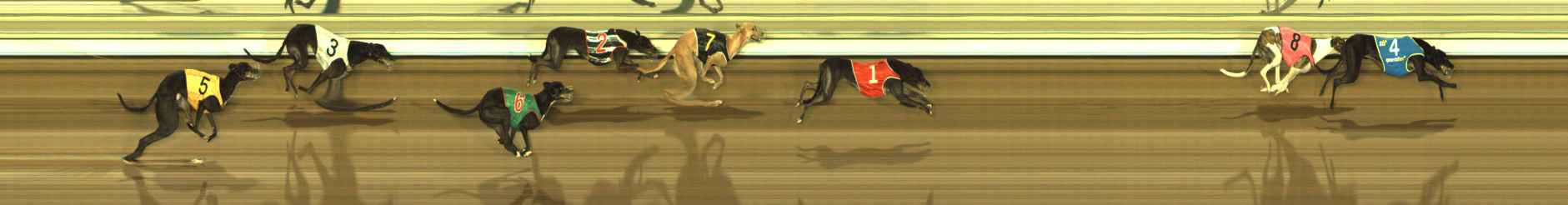 Photo finish for The Meadows Race 10