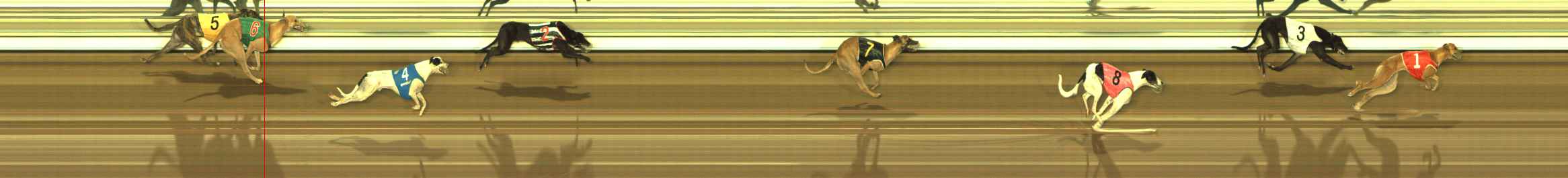 Photo finish for The Meadows Race 11