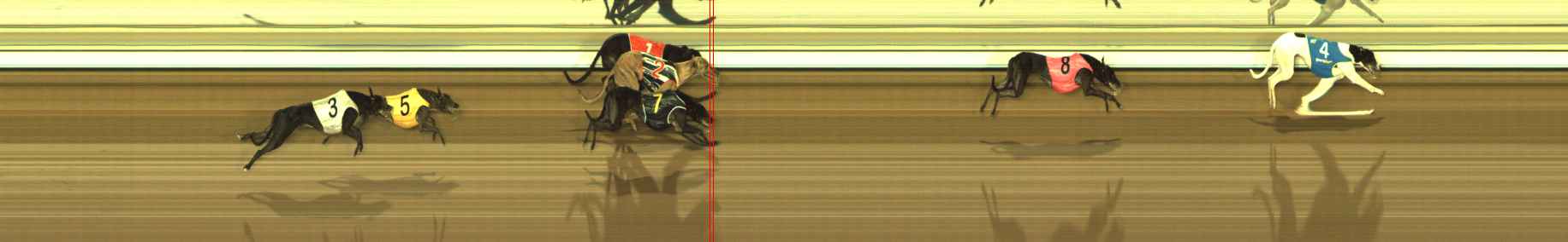 Photo finish for The Meadows Race 12