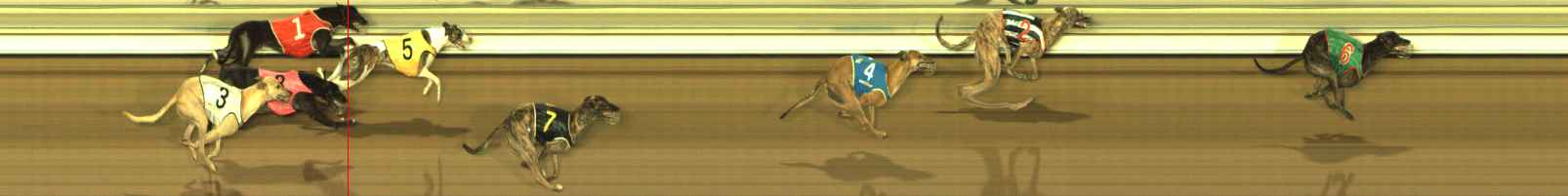 Photo finish for The Meadows Race 1