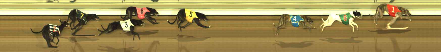 Photo finish for The Meadows Race 3