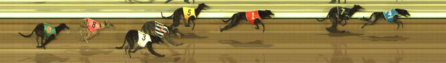 Photo finish for The Meadows Race 7