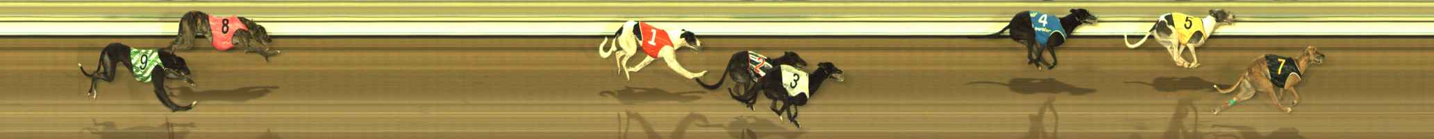 Photo finish for The Meadows Race 10