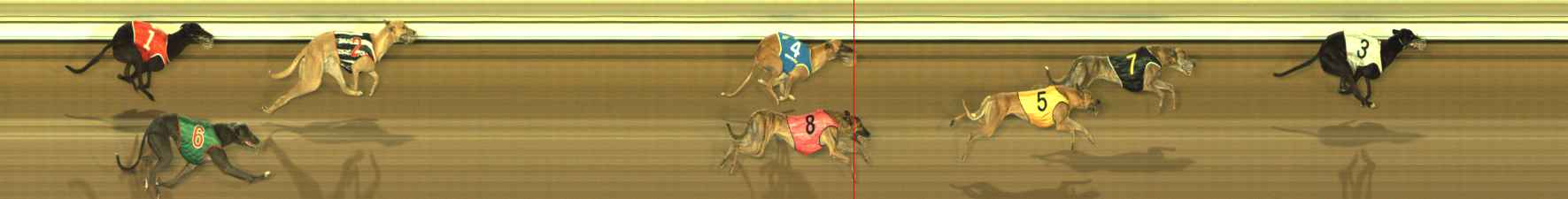 Photo finish for The Meadows Race 11
