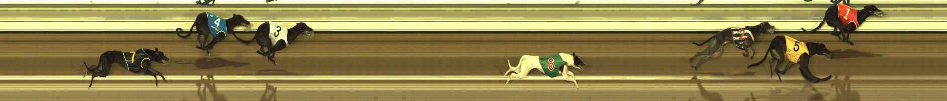 Photo finish for The Meadows Race 2