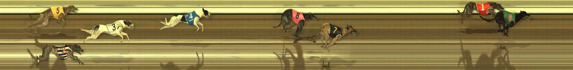 Photo finish for The Meadows Race 3