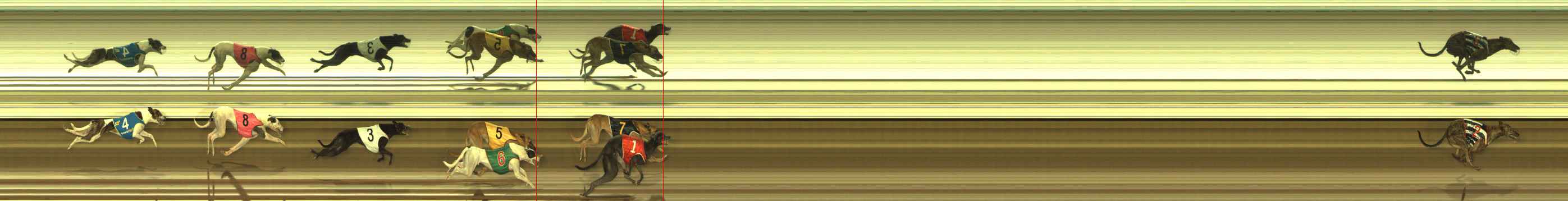 Photo finish for The Meadows Race 4
