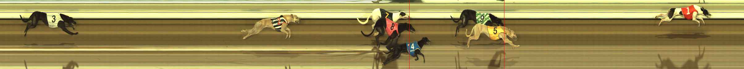 Photo finish for The Meadows Race 5