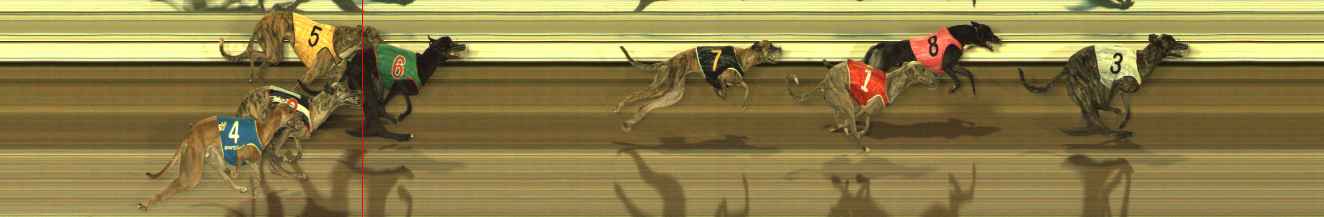 Photo finish for The Meadows Race 8