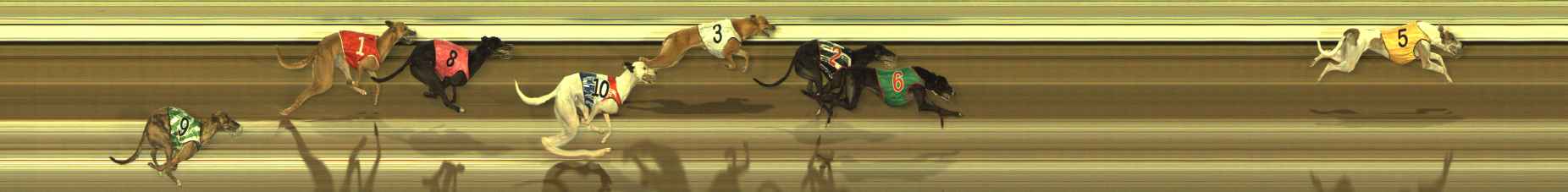 Photo finish for The Meadows Race 9