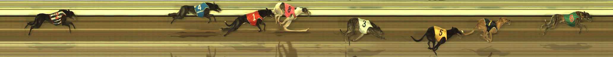 Photo finish for The Meadows Race 10