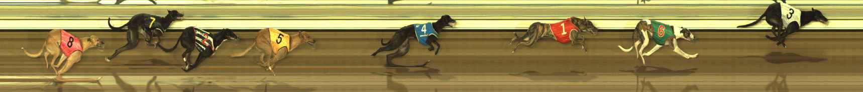 Photo finish for The Meadows Race 11