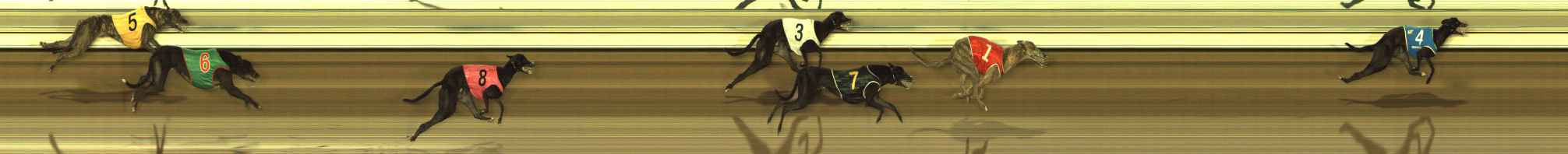 Photo finish for The Meadows Race 12