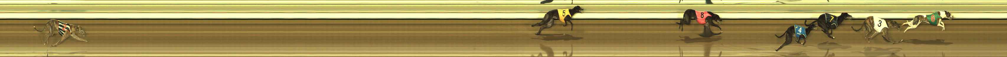 Photo finish for The Meadows Race 3