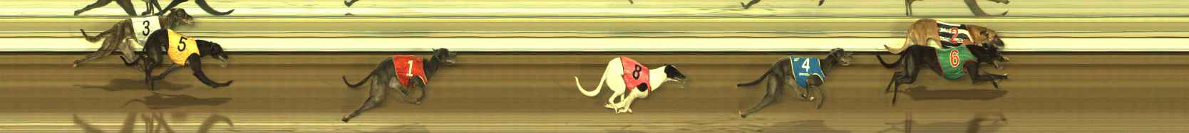 Photo finish for The Meadows Race 4