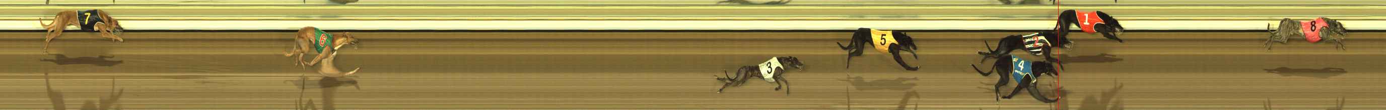 Photo finish for The Meadows Race 5