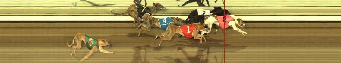 Photo finish for The Meadows Race 6