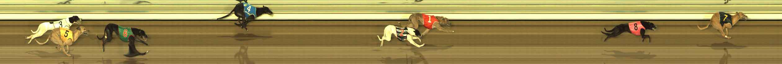 Photo finish for The Meadows Race 7