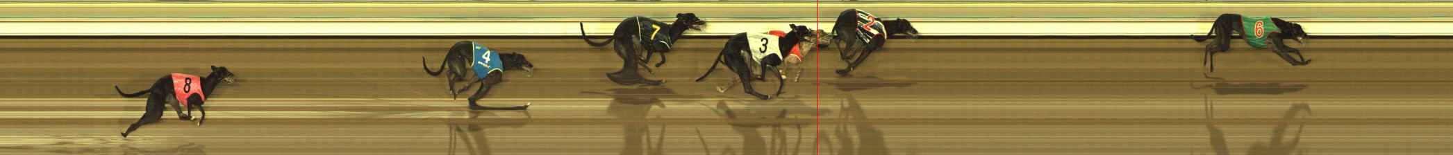 Photo finish for The Meadows Race 10