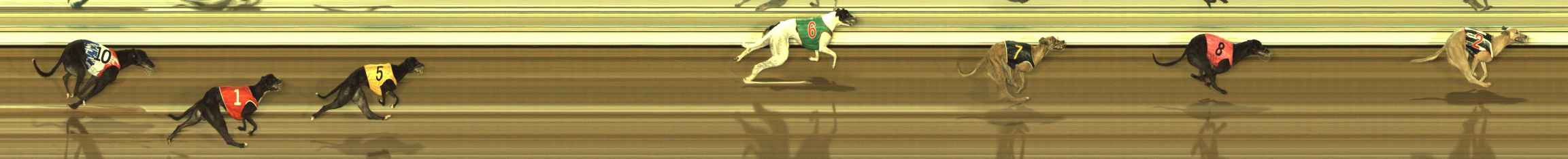 Photo finish for The Meadows Race 11