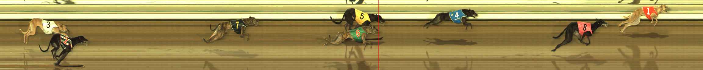 Photo finish for The Meadows Race 12