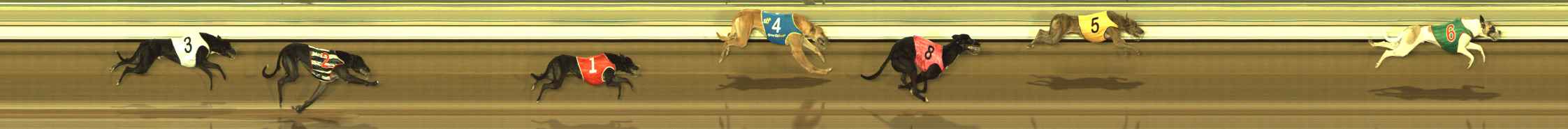 Photo finish for The Meadows Race 1