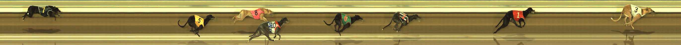 Photo finish for The Meadows Race 2