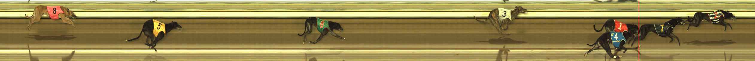 Photo finish for The Meadows Race 3