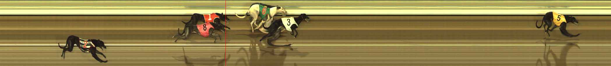 Photo finish for The Meadows Race 4