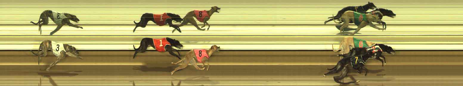 Photo finish for The Meadows Race 5