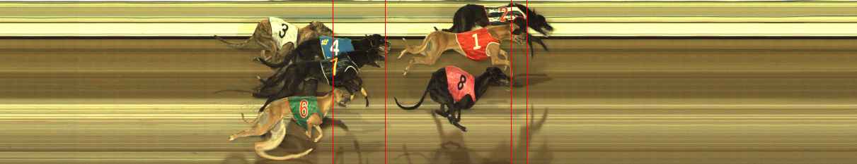 Photo finish for The Meadows Race 6