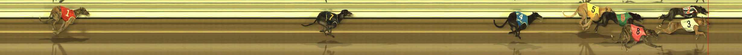 Photo finish for The Meadows Race 8