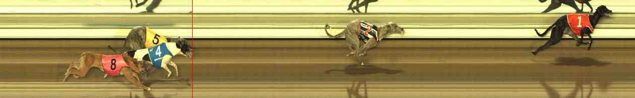 Photo finish for The Meadows Race 9