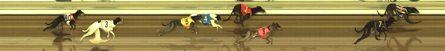 Photo finish for The Meadows Race 10