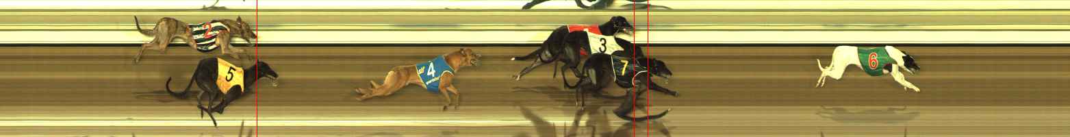 Photo finish for The Meadows Race 11