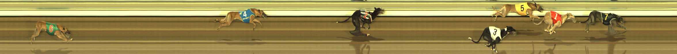 Photo finish for The Meadows Race 12