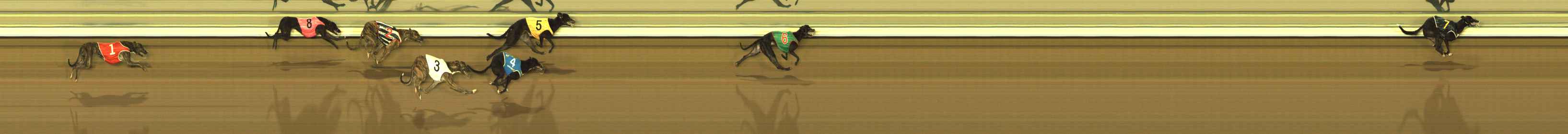Photo finish for The Meadows Race 1