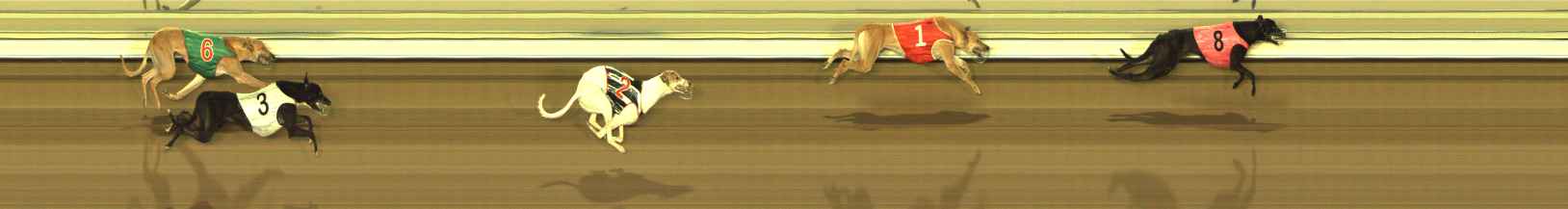 Photo finish for The Meadows Race 2