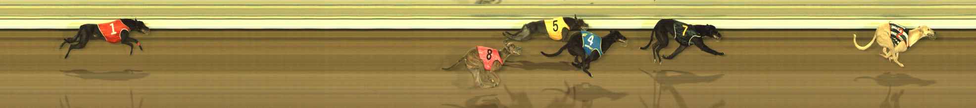 Photo finish for The Meadows Race 3