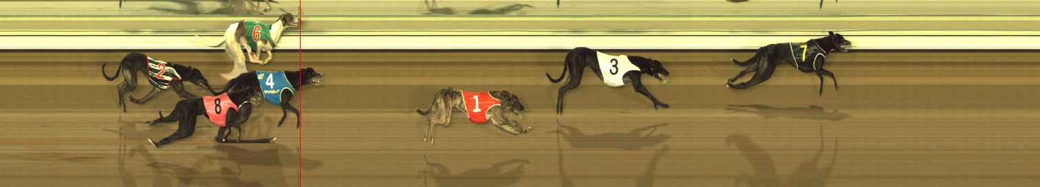 Photo finish for The Meadows Race 8