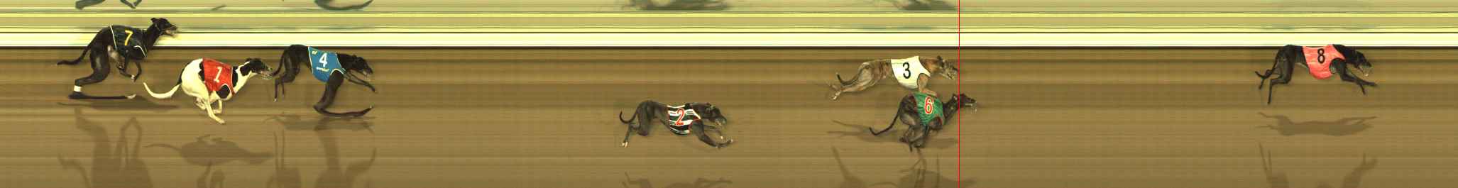 Photo finish for The Meadows Race 11