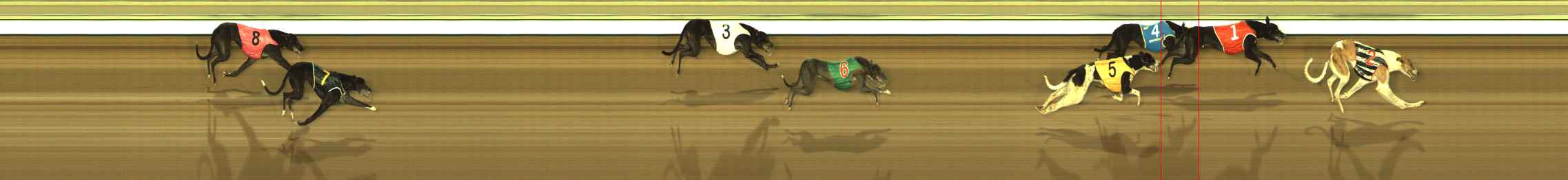 Photo finish for The Meadows Race 1