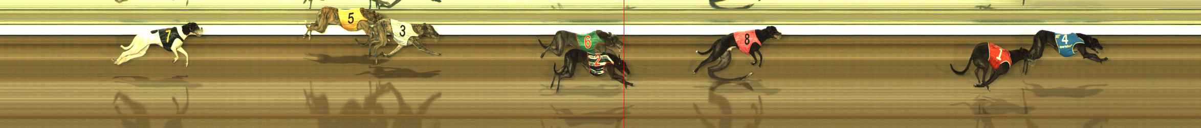 Photo finish for The Meadows Race 2
