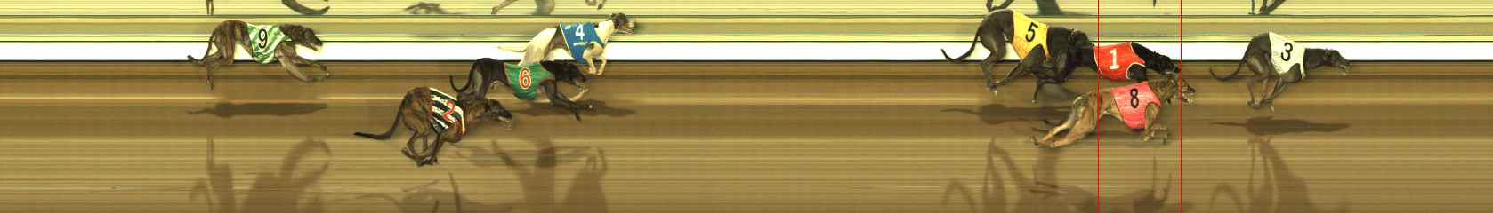Photo finish for The Meadows Race 7