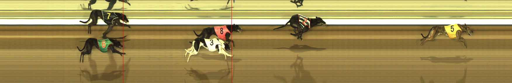 Photo finish for The Meadows Race 8