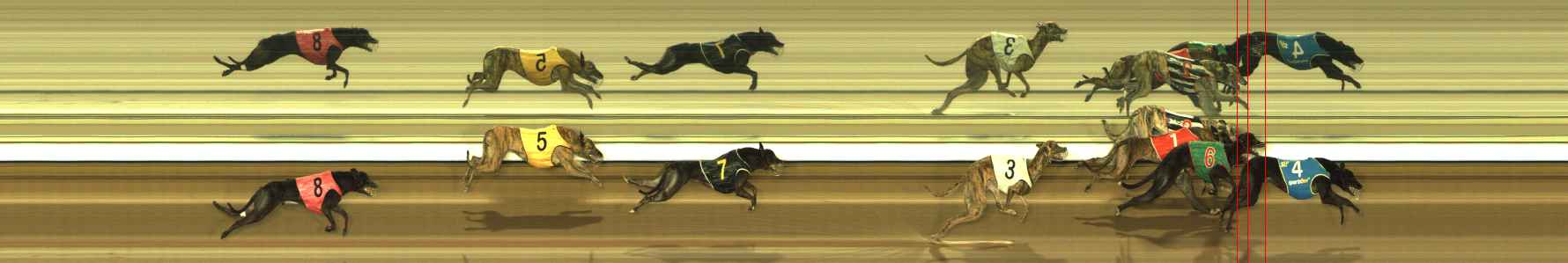 Photo finish for The Meadows Race 10