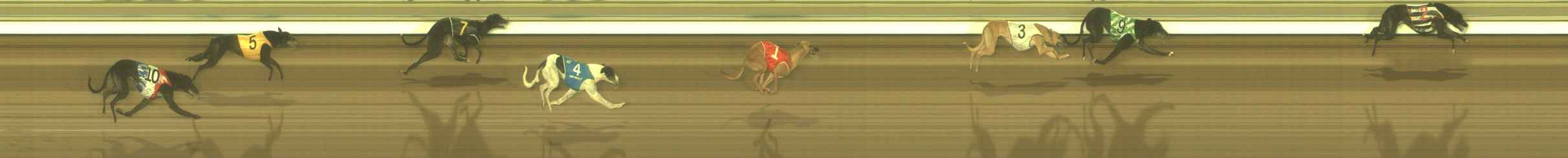 Photo finish for The Meadows Race 11