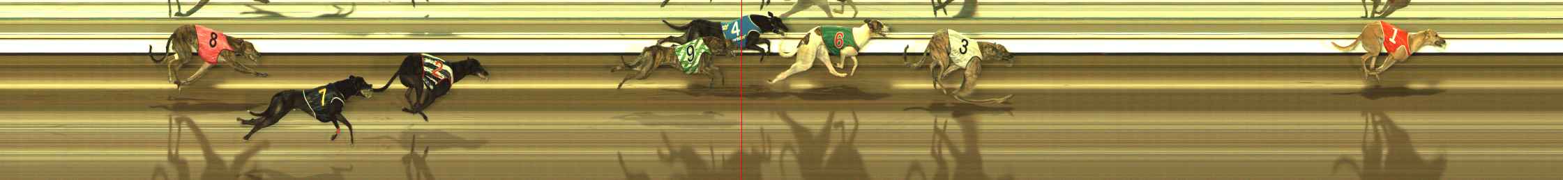 Photo finish for The Meadows Race 6